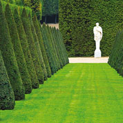 Prestige Lawn - 5kg - 200m2